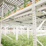 Increase yields with two level shelving