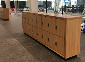 Lockers for the library 