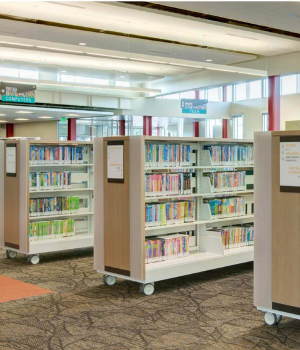 Library Cantilevered Book Carts